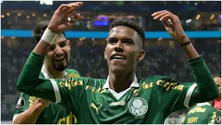 Estevao Willian: Everything You Need to Know About Brazilian Sensation Linked to Chelsea
