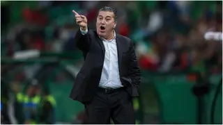 Jose Peseiro: Nigeria Legend Victor Ikpeba Defends Record of Departing Super Eagles Coach