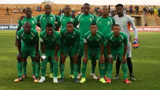 Golden Arrows players, owner, stadium, coach, trophies, and world rankings