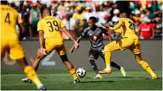 Bafana Bafana Coach Hugo Broos Praises Kaizer Chiefs, Orlando Pirates for Epic Soweto Derby