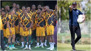 Nasreddine Nabi: AS FAR Rabat Coach Addresses Kaizer Chiefs Interest After Losing League Title