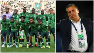 Super Eagles Coach: Why NFF May Not Hire Another Foreign Coach for Nigeria