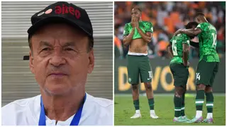 Benin v Nigeria: Gernot Rohr Gets Revenge Over Super Eagles As Cheetahs Defeat African Giants in WCQ