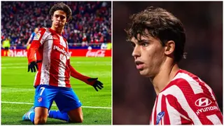 Joao Felix: Barcelona and Atletico Madrid in Advance Talks to Sign Wantaway Star