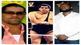 Who are the 10 tallest wrestlers in the history of WWE?