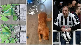 Fan left devastated after his dog destroys his Carabao Cup final ticket