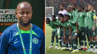 Segun Odegbami Names Important ‘Ingredient’ Finidi Needs to Achieve Success As Super Eagles Coach