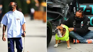 Formula 1: Fans Share Reactions As Video of Lewis Hamilton’s Beloved Pet Roscoe Skating Resurfaces