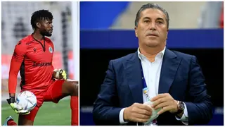AFCON 2023: Former Super Eagles Goalkeeper Sends Strong Message to Jose Peseiro Over Uzoho, Others