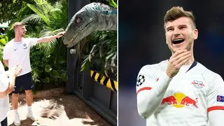 When an Animatronic Dinosaur Frightened Timo Werner at Universal Studios in Orlando, Video