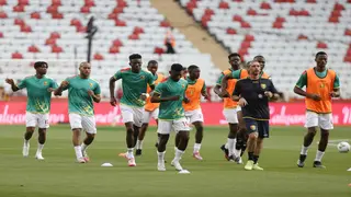 Guinea national football team: squad, coach, world rankings, AFCON, nickname