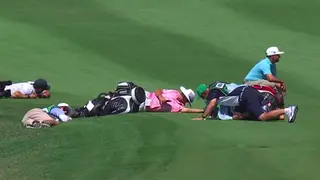 Video Shows South African Golfer Erik Van Rooyen Taking Cover From Bee Attack