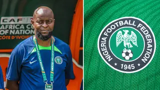 NFF to ignore Finidi George for Super Eagles coaching role: Report