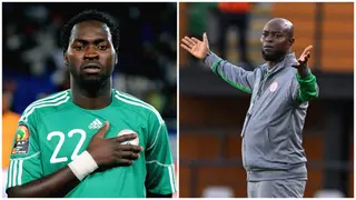 NFF Told to Appoint Former Super Eagles Star Coaching in France As Finidi George’s Replacement