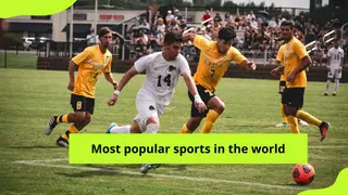 Top 20 most popular sports in the world revealed