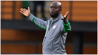 NFF Reportedly Appointing Foreign Adviser for Finidi George After Super Eagles' WCQ Stumble