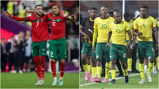 AFCON 2023: Hugo Broos Rates Bafana Bafana’s Chances Against Morocco