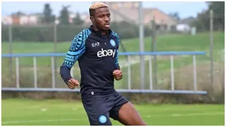 Victor Osimhen Returns to Full Training Ahead of Napoli’s Games Against Atalanta and Real Madrid