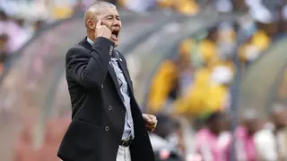 Cavin Johnson: South African Coach Gives Injury Update Ahead of Kaizer Chiefs Tie With Polokwane