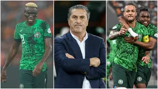 Nigeria at AFCON 2023: Jose Peseiro overachieved despite Ivory Coast final disappointment