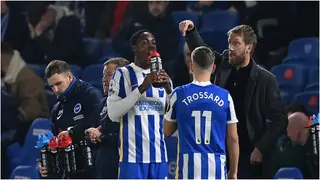 Graham Potter: Why sacked Chelsea boss should have never left Brighton