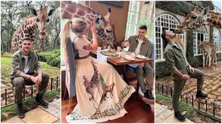 Paris Saint Germain striker Mauro Icardi visits famous Giraffe Manor in Nairobi