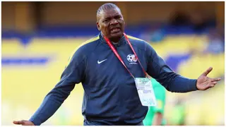 Molefi Ntseki: Kaizer Chiefs Coach Responds to Possible Meeting With Bafana Manager Hugo Broos