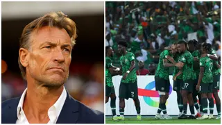 Herve Renard: 3 African Countries French Coach Worked With and Achievements Amid Super Eagles Links