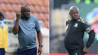 Marumo Gallants surprisingly part ways with Dan Malesela despite continued success with Dan Dance as manager