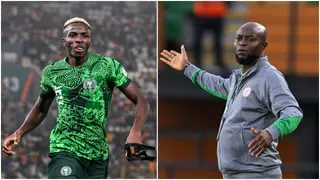 Victor Osimhen: Former Nigeria International Blasts Napoli Star After His Rant About Finidi George