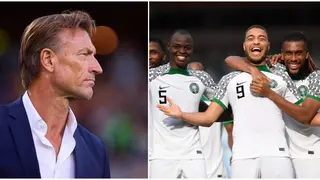 Herve Renard: Nigeria Reportedly Switching Attention to Ex Saudi Arabia Coach for Super Eagles Role