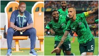 NFF Denies Owing Super Eagles Bonuses and Allowances Ahead of South Africa Clash