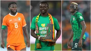 AFCON 2023 best player of tournament contenders: Nwabali, Troost Ekong lead