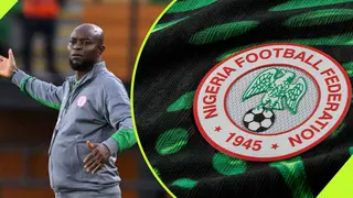 Finidi’s Replacement: NFF Commences Interviews of Prospective Coaches for Super Eagles Role, Report