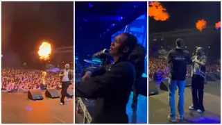 Davido Surprises Fans, Brings Israel Adesanya on Stage at His Sold Out New Zealand Show, Video