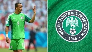 Peter Odemwingie sends message to NFF, warns against hiring Indigenous coaches