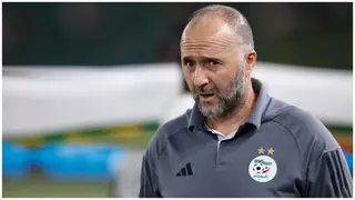 Furious Algerian Fans Confront Coach Djamel Belmadi After AFCON 2023 Elimination, Video