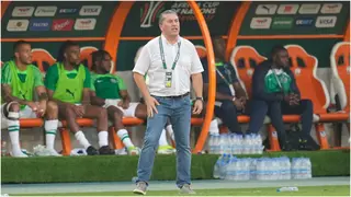 AFCON 2023: Jose Peseiro’s Record in Finals Ahead of Nigeria vs Ivory Coast