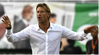 Herve Renard: Nigeria and Four Other Countries Interested in the French Tactician