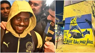 Bright Osayi Samuel: Fenerbache Fans Honour Nigeria Defender With Mural After Show of Bravery