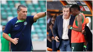 NFF urged to sack Super Eagles coach Jose Peseiro despite AFCON success