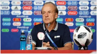 Gernot Rohr Reports NFF to FIFA, Demands $1million for Compensation Over Breach of Contract
