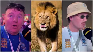 Qatar 2022: Watch England fans who went looking for beers & ended up in a sheikh's palace chilling with a lion