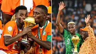 AFCON Final: Ivorian Journalist Identifies What Helped the Elephants Cage Nigeria’s Super Eagles