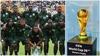Super Eagles' 2026 World Cup Hopes Still Alive, Says Ex-Nigeria Player