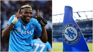 Victor Osimhen: Ex Chelsea Star Lists Reasons Why the Blues Should Sign Napoli Striker
