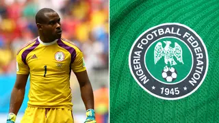 Enyeama speaks on disrespect of local coaches as NFF announces Super Eagles vacancy