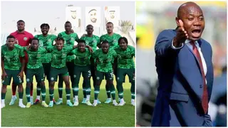 Amuneke, Finidi top list of coaches who applied for the vacant Super Eagles job