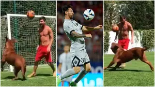 Footage of PSG superstar Leo Messi playing football with his gigantic dog emerges