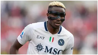 Victor Osimhen: Former Napoli Star Cristian Bucchi Hails Nigerian Striker as One of World’s Top Five